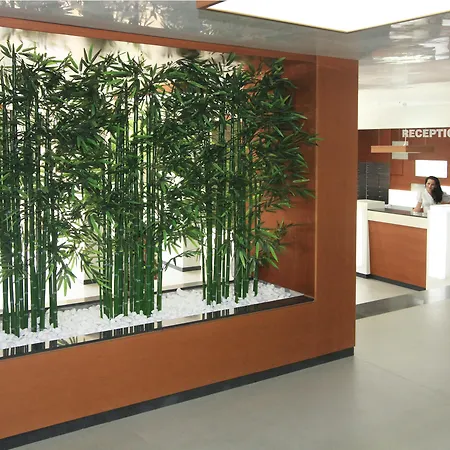 Excelsior 4* Złote Piaski